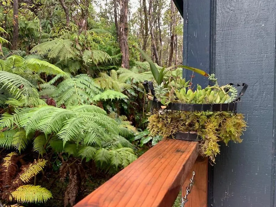 Feriehus Puolani Iki-Sweet Lil Cottage Near National Park Volcano USA